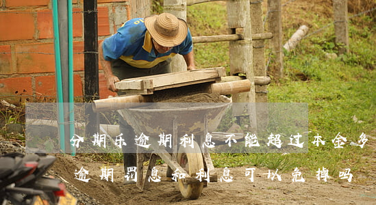 分期乐逾期利息不能超过本金多少-分期乐逾期罚息和利息可以免掉吗?