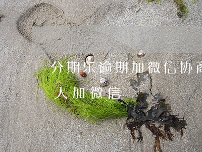 分期乐逾期加微信协商(分期乐逾期两天会有人加微信)