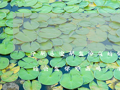 分期乐逾期发给我的律师函 分期乐逾期了真的会发律师函吗!求告知