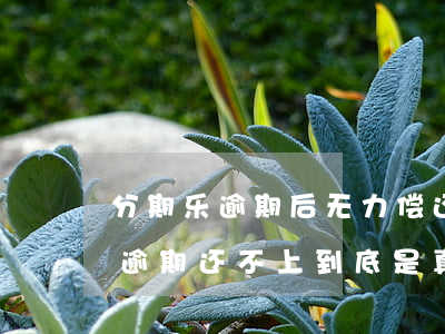 分期乐逾期后无力偿还有什么后果-分期乐逾期还不上到底是真是假2020
