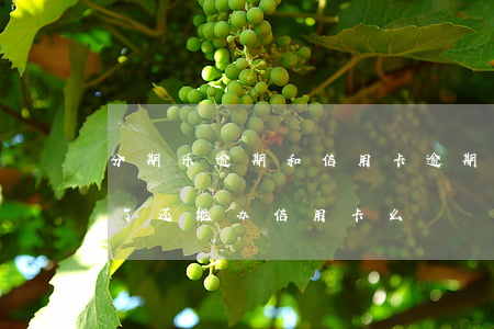 分期乐逾期和信用卡逾期一样吗(分期乐逾期了还能办信用卡么)