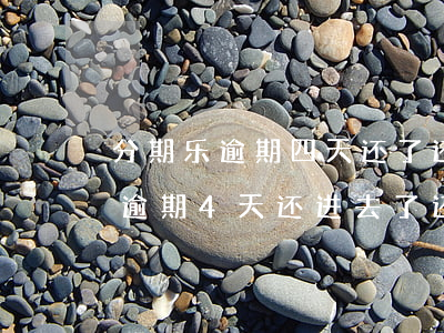 分期乐逾期四天还了还能提出来吗-分期乐逾期4天还进去了还能借出来吗