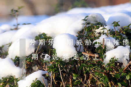 分期乐逾期威胁上门催债怎么办-分期乐逾期了说要走访上门是真的吗