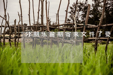 分期乐逾期寄来文件了要不要签收