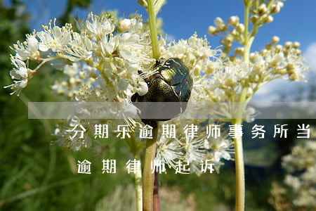 分期乐逾期律师事务所当地相关部门（分期乐逾期律师起诉）
