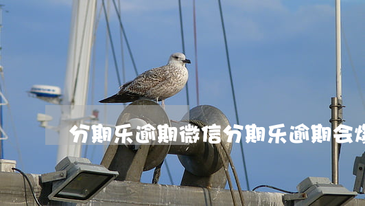 分期乐逾期微信(分期乐逾期会爆微信)