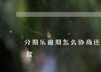 分期乐逾期怎么协商还款(分期乐能否协商还款)