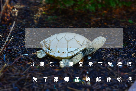 分期乐逾期显示下发律师函(分期乐逾期还款 发了律师函的邮件给我)