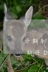 分期乐逾期未还现在收到律师函-分期乐逾期还款 发了律师函的邮件给我