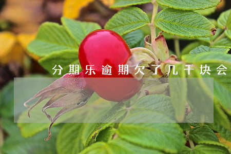 分期乐逾期欠了几千块会上门吗-