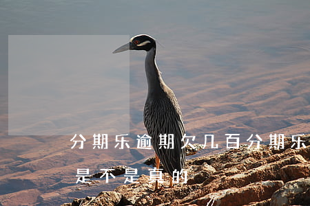 分期乐逾期欠几百(分期乐逾期两千多说起诉是不是真的)