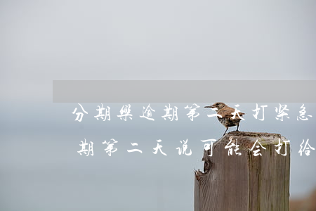 分期乐逾期第二天打紧急联系人-分期乐逾期第二天说可能会打给紧急联系人