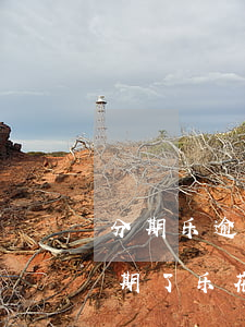 分期乐逾期结清乐花卡还能用吗-分期乐逾期了乐花卡是不是就用不了了