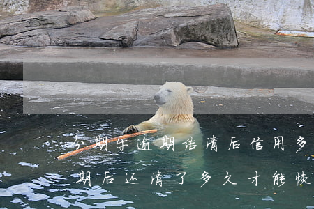 分期乐逾期结清后信用多久消除-分期乐逾期后还清了多久才能恢复征信
