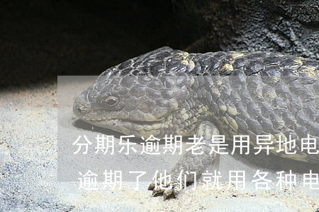 分期乐逾期老是用异地电话打来吗-分期乐逾期了他们就用各种电话给我发消息