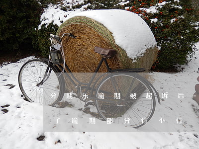 分期乐逾期被起诉后-分期乐逾期被起诉还了逾期部分行不行?
