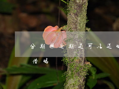 分期乐逾期还可以还吗 分期乐逾期还可以再借吗