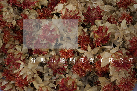 分期乐逾期还完了还会打电话吗-