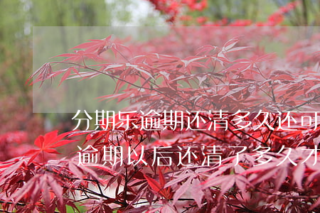 分期乐逾期还清多久还可以继续用-分期乐逾期以后还清了多久才能再借