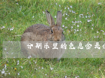 分期乐里的免息金是什么（免息额度分期乐）