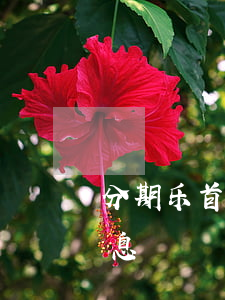 分期乐首期免息券是什么意思（分期乐首付免息）