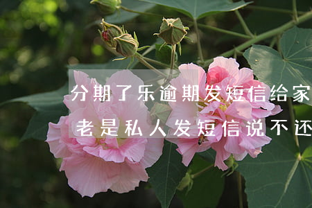 分期了乐逾期发短信给家人(分期乐网贷逾期老是私人发短信说不还后果很严重)