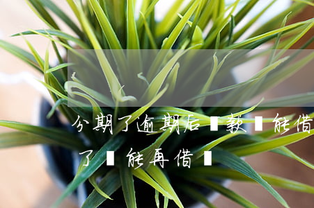 分期了逾期后還款還能借不（信用卡分期逾期了還能再借嗎）