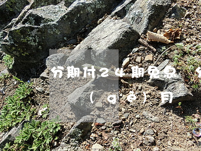 分期付24期免息嗎(分期付款24期免息是幾個(gè)月)