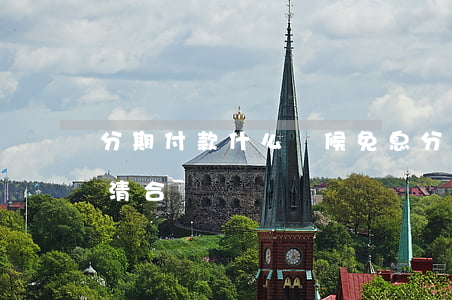 分期付款什么時候免息(分期付款什么時候還清合適)