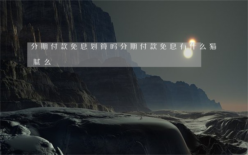 分期付款免息划算吗（分期付款免息有什么猫腻么）