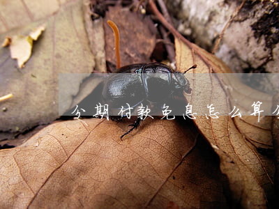 分期付款免息怎么算(分期付款免息怎么算的)
