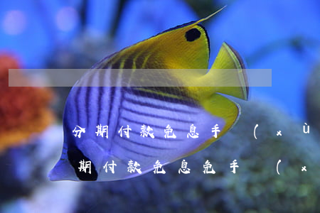 分期付款免息手續(xù)費(fèi)(分期付款免息免手續(xù)費(fèi))