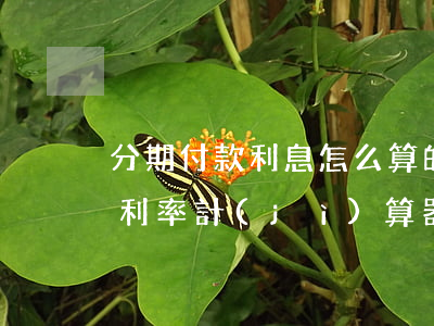 分期付款利息怎么算的(分期真實(shí)利率計(jì)算器)