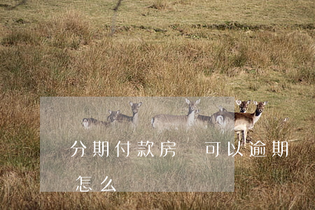 分期付款房貸可以逾期嗎(房貸首付分期逾期怎么辦)