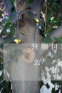 分期付款手機(jī)逾期會(huì)怎么樣（支付寶逾期影響分期手機(jī)嘛）