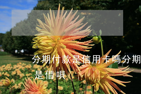 分期付款是信用卡嗎(分期付款是信用卡嗎還是借唄)