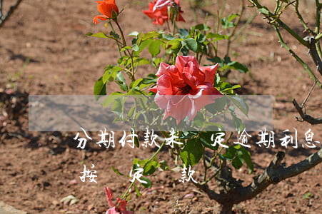 分期付款未約定逾期利息如何(分期付款沒有按約定還款違約)