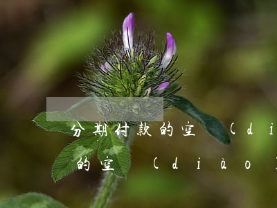 分期付款的空調(diào)免息(分期付款的空調(diào)免息)