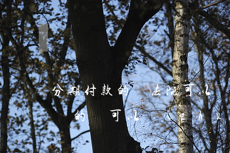 分期付款的車法院可以強制過戶嗎(分期付款買的車可以轉(zhuǎn)換過戶給別人嗎)