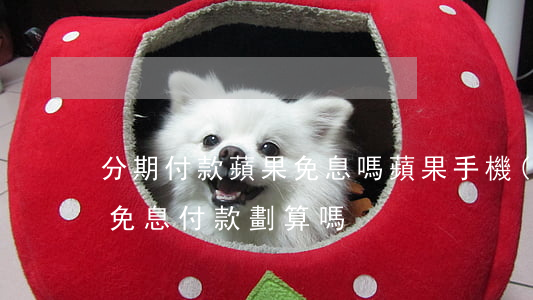 分期付款蘋果免息嗎(蘋果手機(jī)分期免息付款劃算嗎)