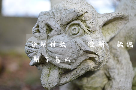 分期付款購車逾期還款(假如分期付款的車逾期了怎么辦)