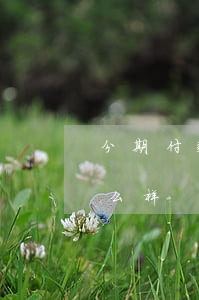 分期付款逾期20天(分期付款逾期几天会怎么样)
