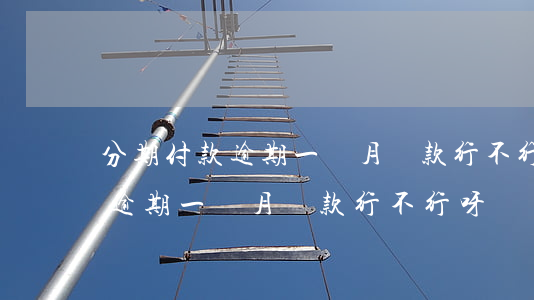 分期付款逾期一個月還款行不行-分期付款逾期一個月還款行不行呀