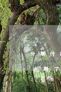 分期付款逾期了兩天有什么后果-分期付款逾期了兩天有什么后果嗎