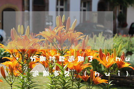 分期付款逾期了會(huì)被起訴嗎(分期逾期多久會(huì)被起訴)