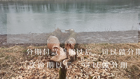 分期付款逾期以后還可以做分期嗎-分期付款逾期以后還可以做分期嗎