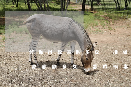 分期付款逾期多久會造成刑事責任-分期付款逾期多久會造成刑事責任