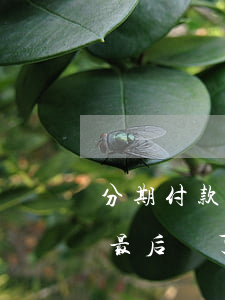 分期付款逾期影響房貸嗎(分期付款逾期半年最后還了會影響征信嗎)