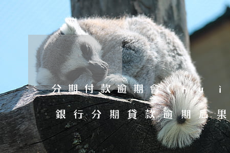 分期付款逾期會(huì)影響什么影響-銀行分期貸款逾期后果是什么