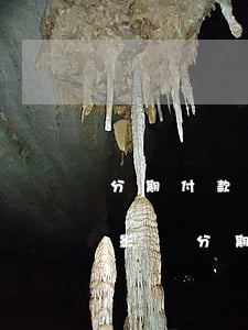 分期付款逾期會影響征信嗎（信用卡逾期多久影響分期業(yè)務）
